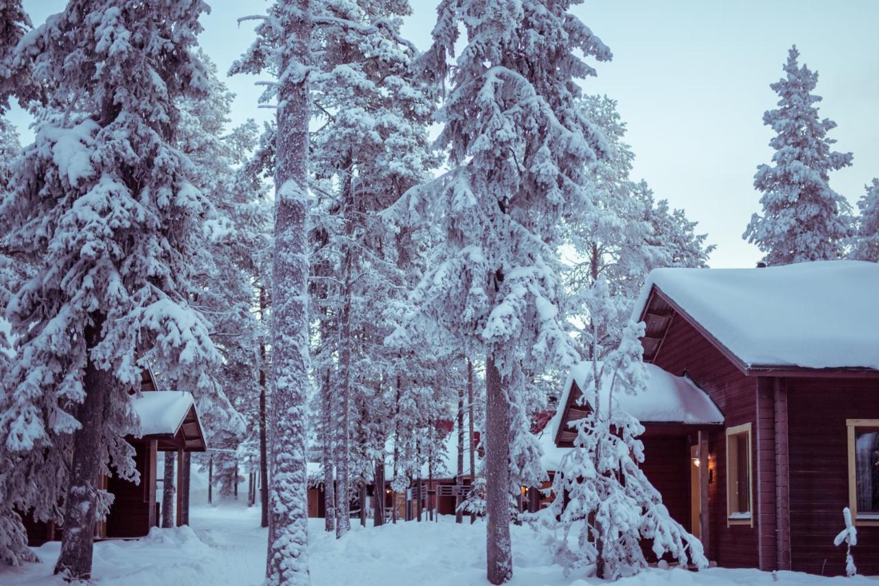 Torassieppi Cottages Pallastunturi Bagian luar foto